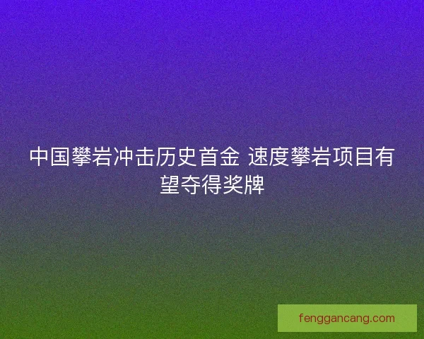 中国攀岩冲击历史首金 速度攀岩项目有望夺得奖牌